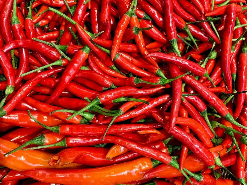 A pile of fresh red chillies